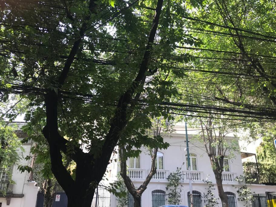 Apartamento Excellent Location Renovated Apt. Roma/Condesa 1 México DF Exterior foto